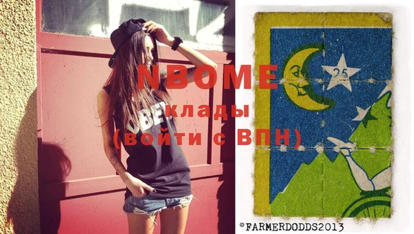 шишки Новодвинск