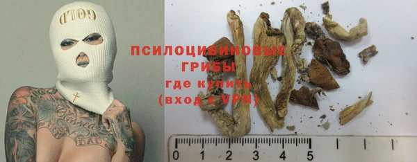 экстази Няндома