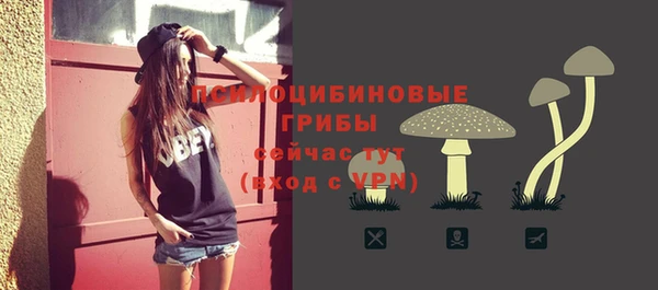 Альфа ПВП Нязепетровск