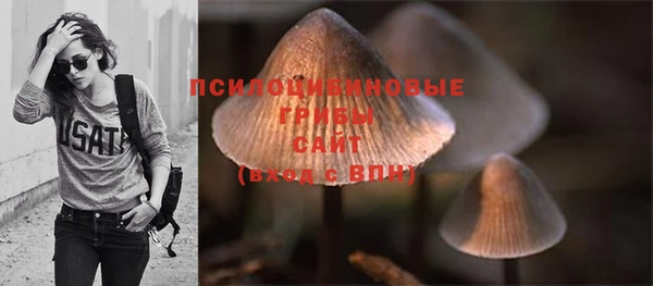 экстази Няндома
