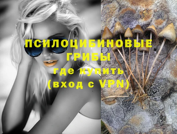 экстази Няндома