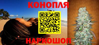 прущие грибы Партизанск