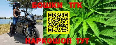 прущие грибы Партизанск