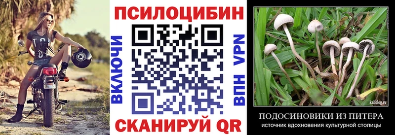 Псилоцибиновые грибы Psilocybe  купить закладку  Отрадное 