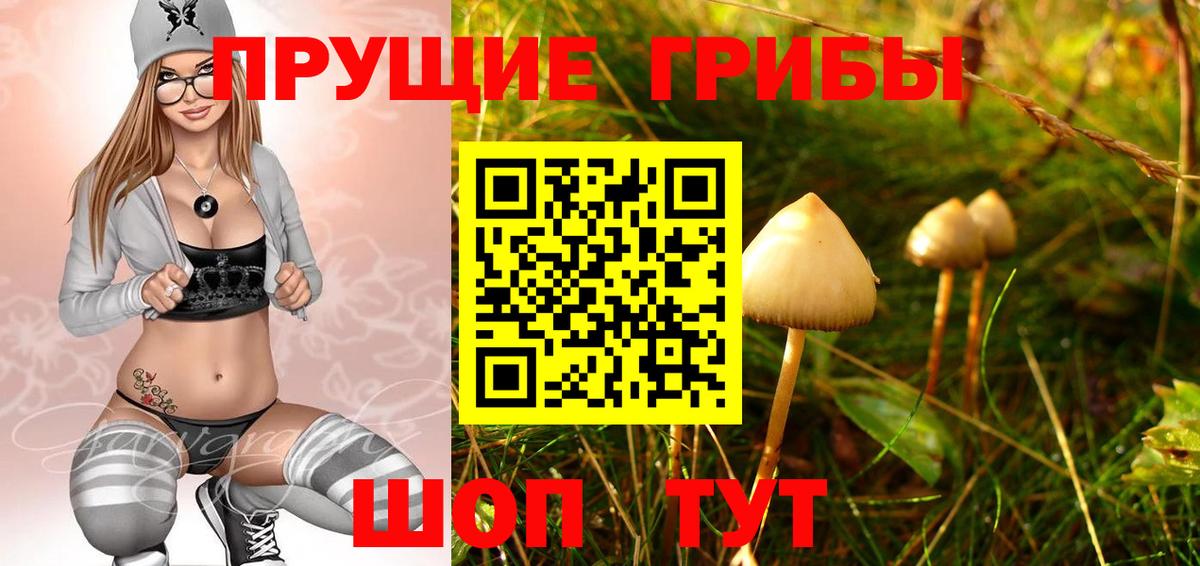 Псилоцибиновые грибы Cubensis  Галлюциногенные грибы ЛСД  сколько стоит  Вход с VPN  Отрадное 