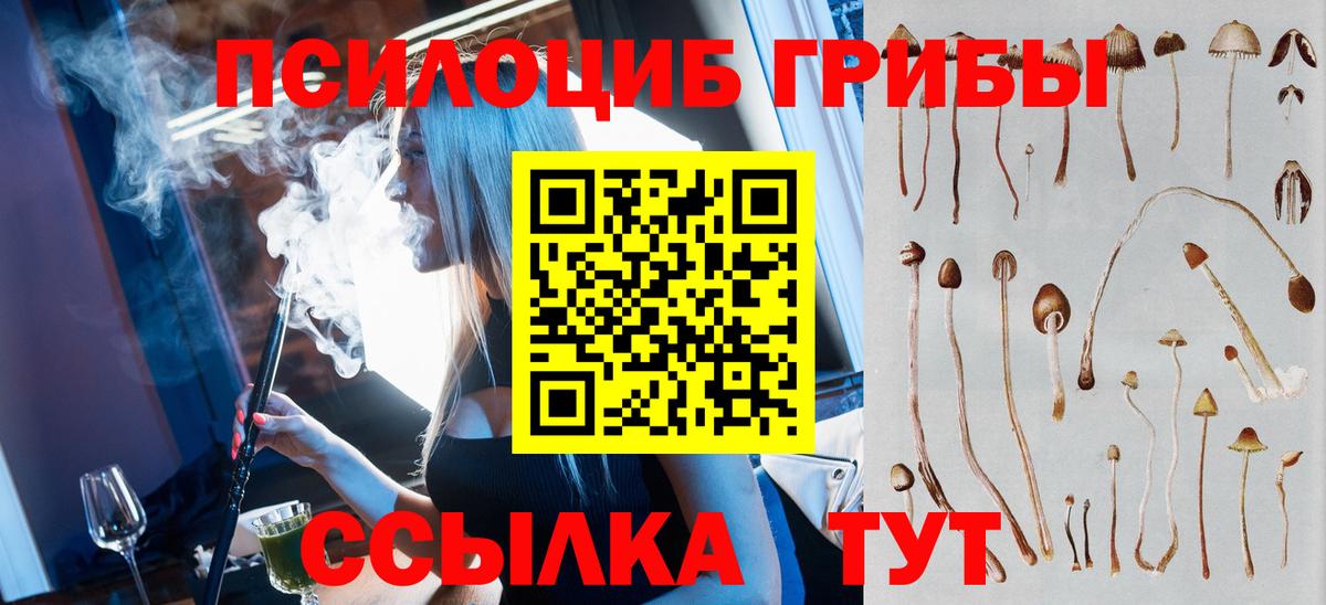 Псилоцибиновые грибы MAGIC MUSHROOMS Отрадное