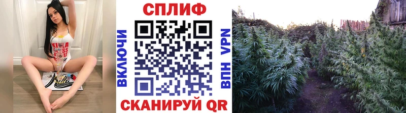 Канабис AK-47  закладка  Отрадное 